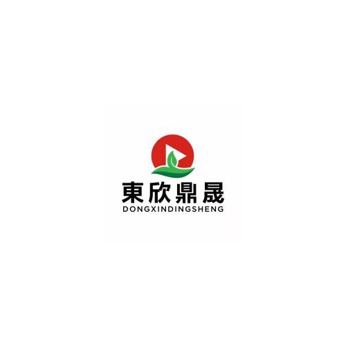 东新国际传媒有限公司